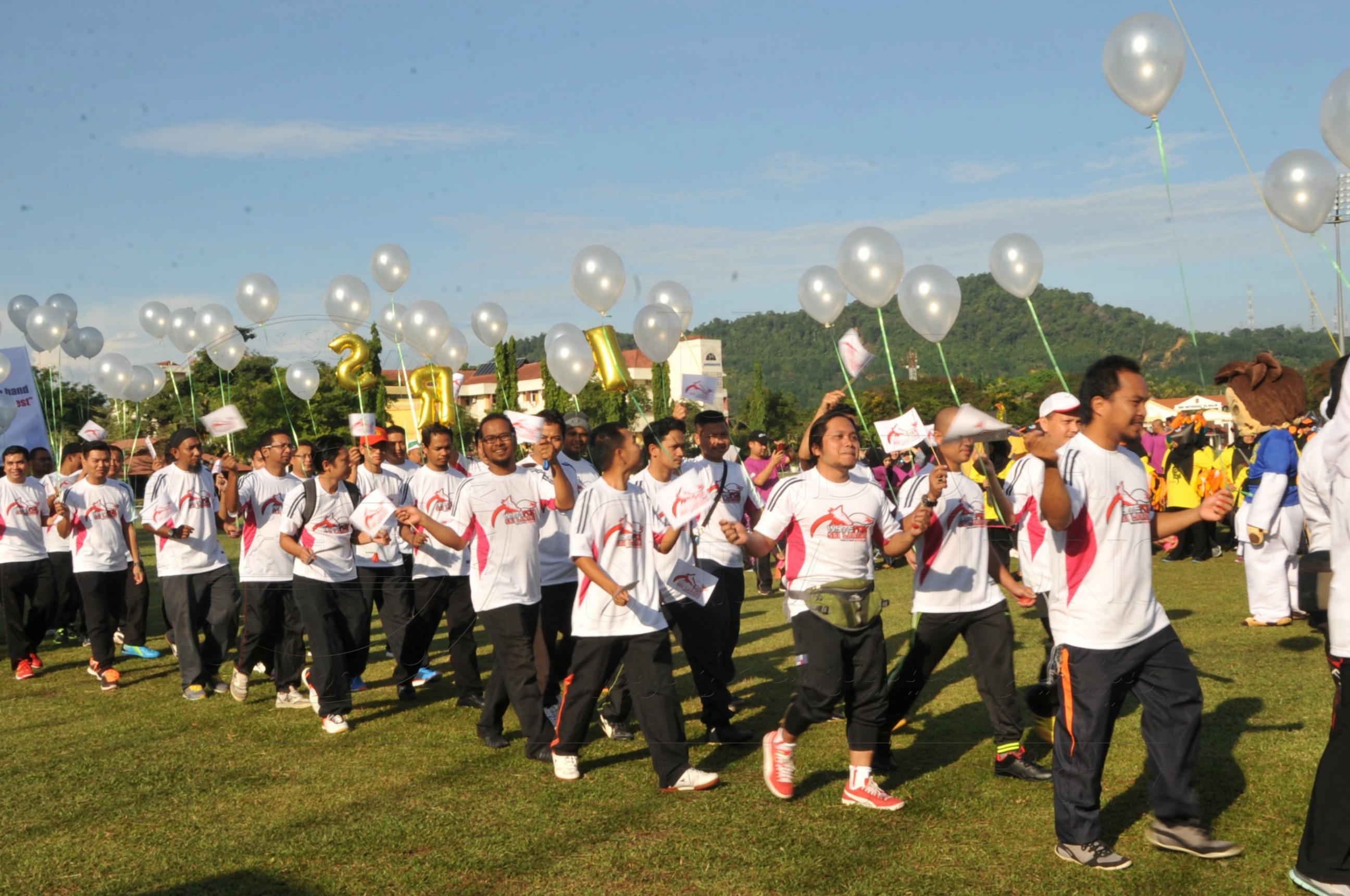 PRO 15 53 KIESTA HAS 3684